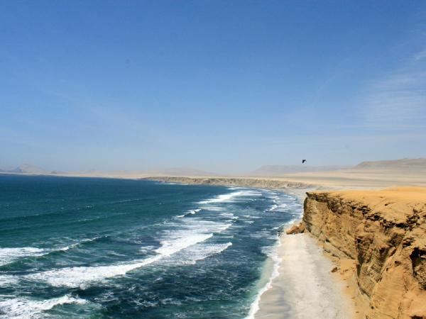 Tours a Paracas Full Day